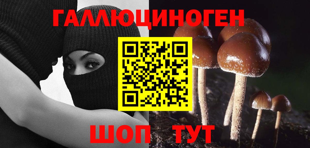 Галлюциногенные грибы Magic Shrooms Отрадный