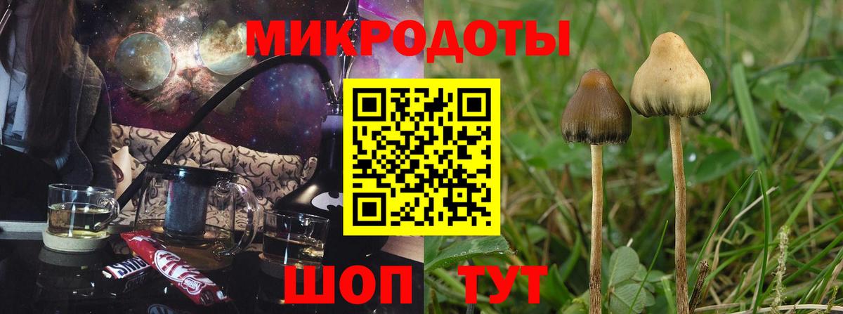 Псилоцибиновые грибы Psilocybine cubensis  Вход с VPN  Отрадный 